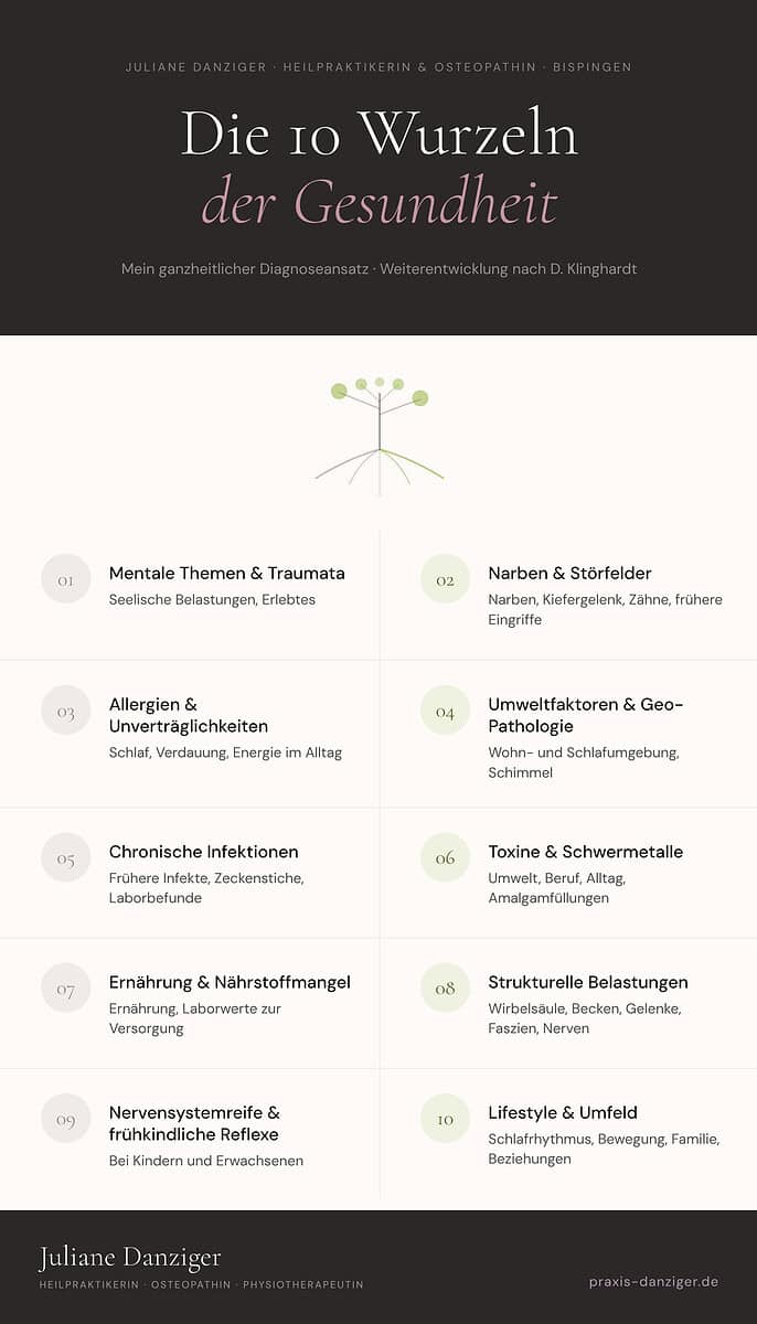 Infografik „Die 10 Wurzeln der Gesundheit“ von Juliane Danziger, Heilpraktikerin und Osteopathin in Bispingen. Unter einem stilisierten Baum stehen zehn nummerierte Bereiche untereinander, mentale Themen und Traumata, Narben und Störfelder, Allergien und Unverträglichkeiten, Umweltfaktoren und Geo-Pathologie, chronische Infektionen, Toxine und Schwermetalle, Ernährung und Nährstoffmangel, strukturelle Belastungen, Nervensystemreife und frühkindliche Reflexe sowie Lifestyle und Umfeld. Untertitel mein ganzheitlicher Diagnoseansatz, Weiterentwicklung nach D. Klinghardt.