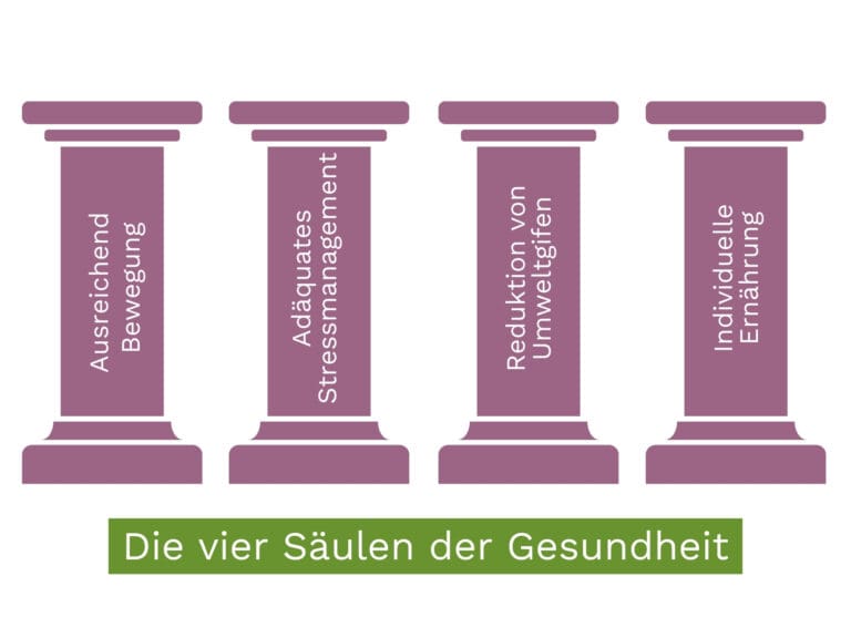 Grafik Die vier Säulen der Gesundheit: Ausreichend Bewegung | Adäquates Stressmanagement | Reduktion von Umweltgiften | Individuelle Ernährung