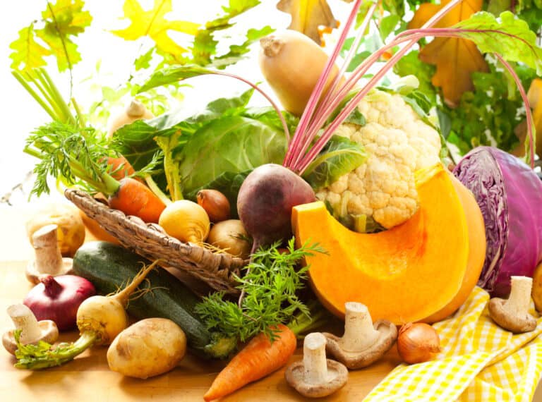 Herbstgemüste - Tipps für die richtige Ernährung in der kalten Jahreszeit